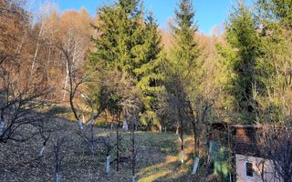 Casa 4 camere, teren 1960m2, CT, Provita, Prahova - Poză 18