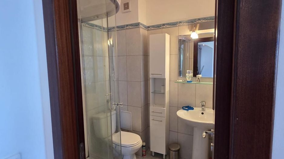 Garsonieră spațioasă Ozana, parcare, centrală proprie, balcon, pet friendly - Poză 9