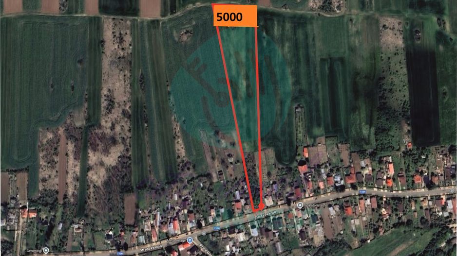 Teren 5000 mp pentru dezvoltare rezidențială, Siliștea Snagovului - Poză 1