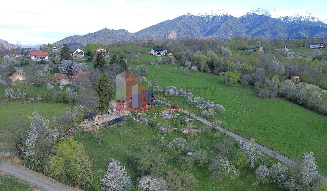 2  A-Frame | Bran Sohodol| 2 cabane | Teren 3.812 mp | Operațional | - Poză 19