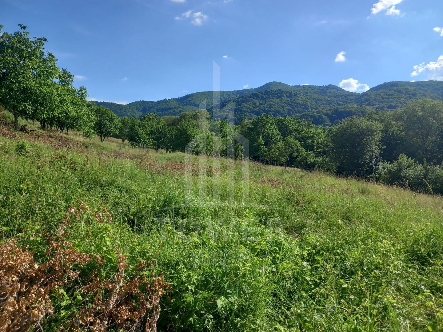 Teren în Fântânele – 3.673 mp, pârâu si cadru natural  deosebit - Poză 10