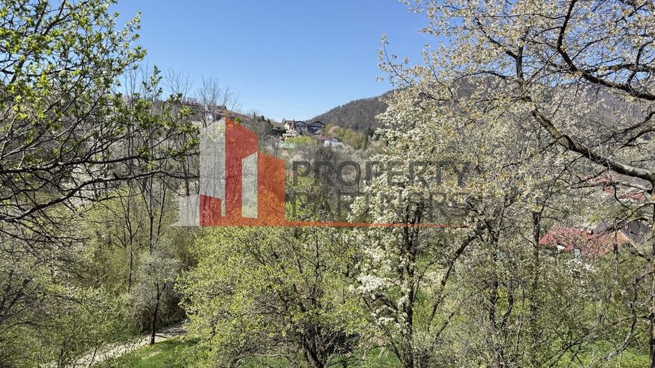 Teren 2500 mp Sohodol - Poză 15