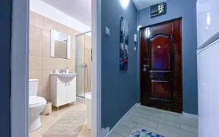 Apartament de vanzare cu 1 camera, cartier Zorilor, UMF - Poză 13