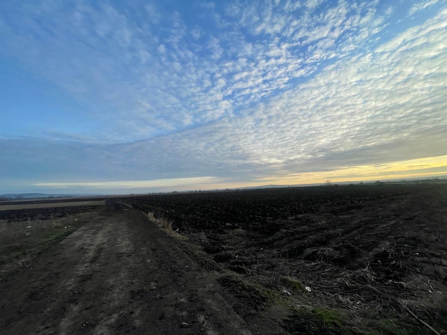 TEREN EXTRAVILAN | 82 ARI | PERIFERIA ORASULUI - Poză 6