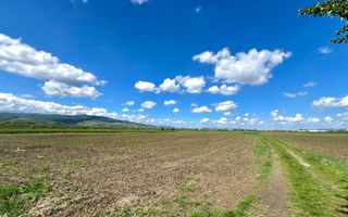 Teren Mixt Industrial de vanzare, 4660mp,  deschidere 41ml - Poză 3