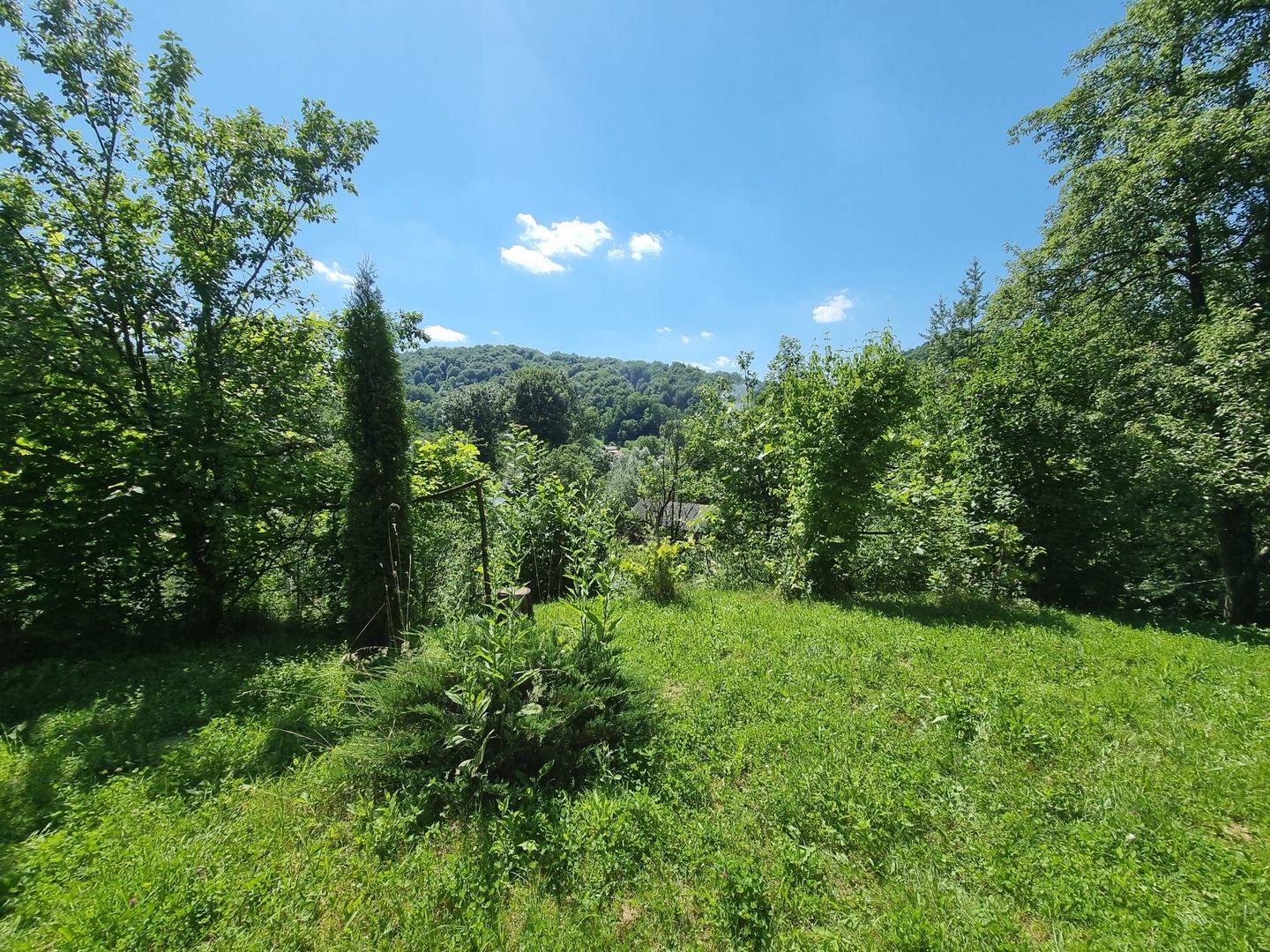 Casa de la marginea padurii! - Poză 12