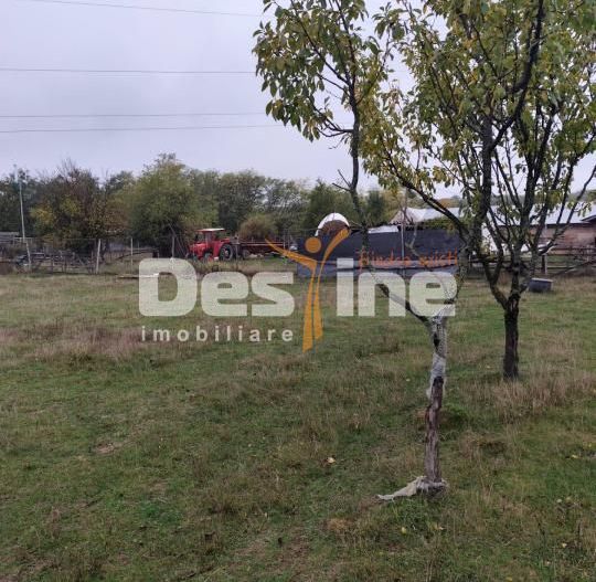 VIla Teisani si 11250 mp teren - Poză 8