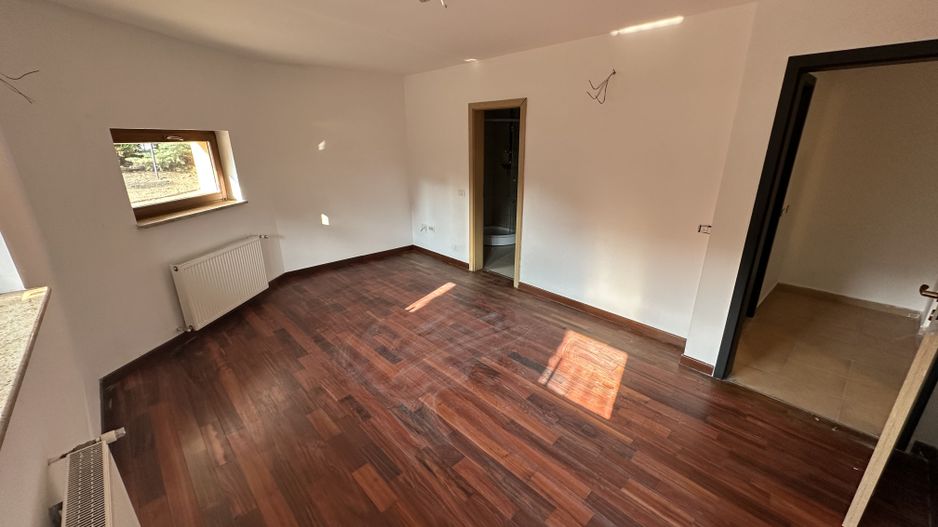 Proprietate cu piscina Dumbravita - Poză 54