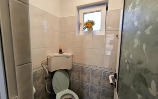 VIILE NOI - casa cu o curte generoasa disponibila imediat - Poză 13