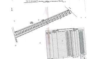 Teren intravilan de vânzare Cernica – Tânganu | 4 loturi x 954 mp | Investiție - Poză 4