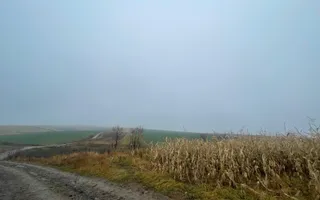 TEREN EXTRAVILAN | DOUA PARCELE 2.84 HA| DARMANESTI - Poză 16