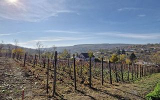 Teren intravilan 708 mp Rediu | Acces privat - Poză 2