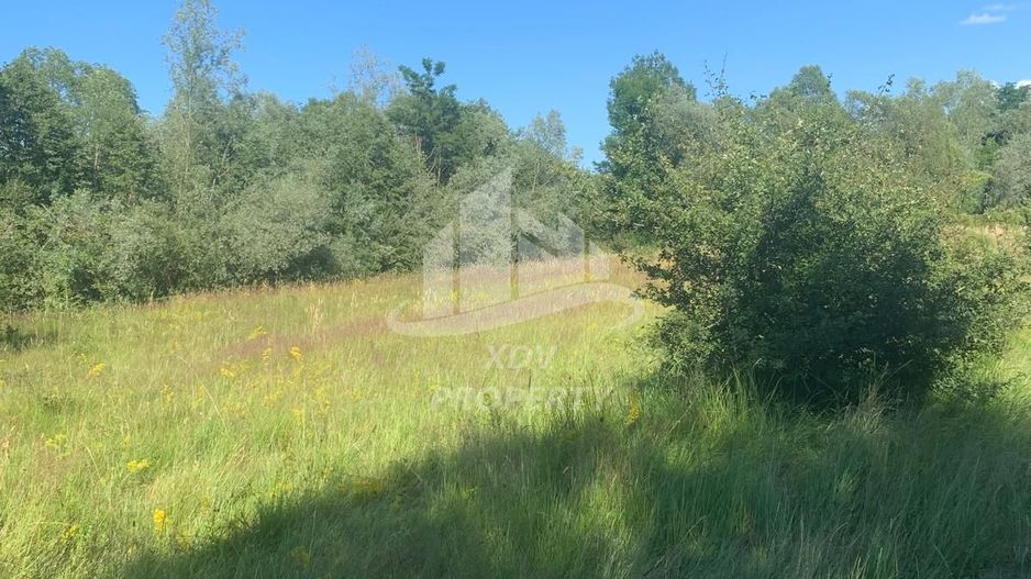 Teren in zona turistica Porumbacu de Sus - Poză 4