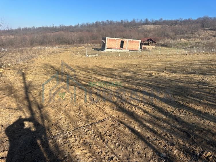 Teren interval Vladiceni - Poză 3