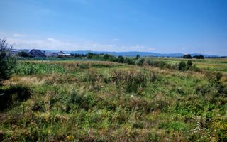 Teren Centura | 12 Ari - Poză 2