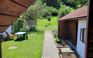 Casă monument istoric I 70 mpu I Teren 2500 mp I Săliște - Poză 7