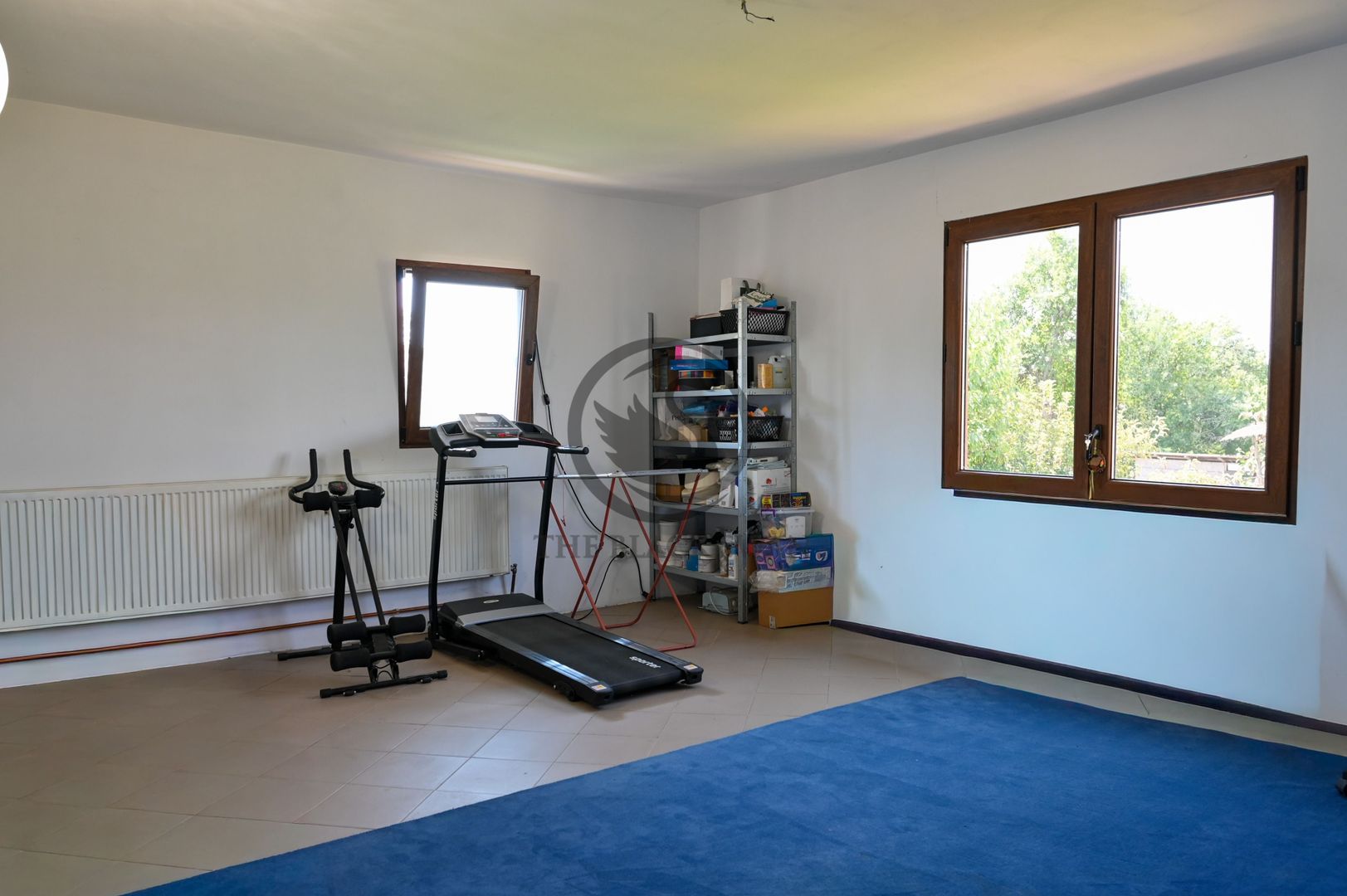 Casa de vanzare | 1.048 Mp teren | Romanesti - Poză 10