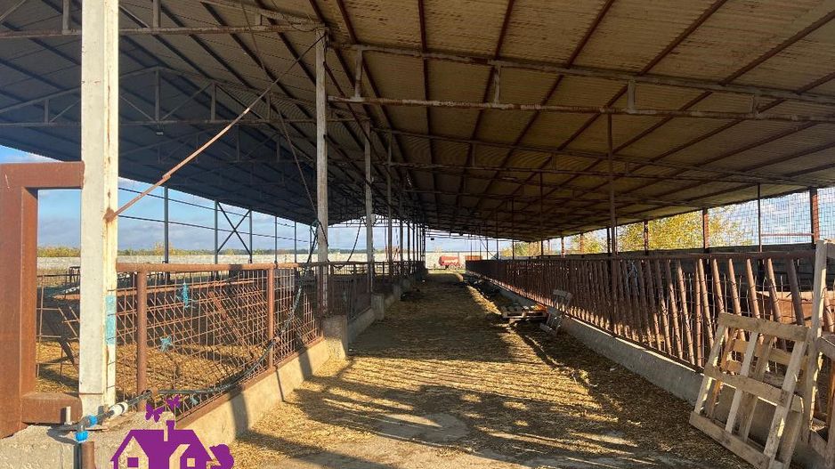 Teren industrial si o constructie pe structura metalica - Poză 2