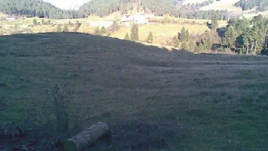 Teren, Sacele - Poză 3