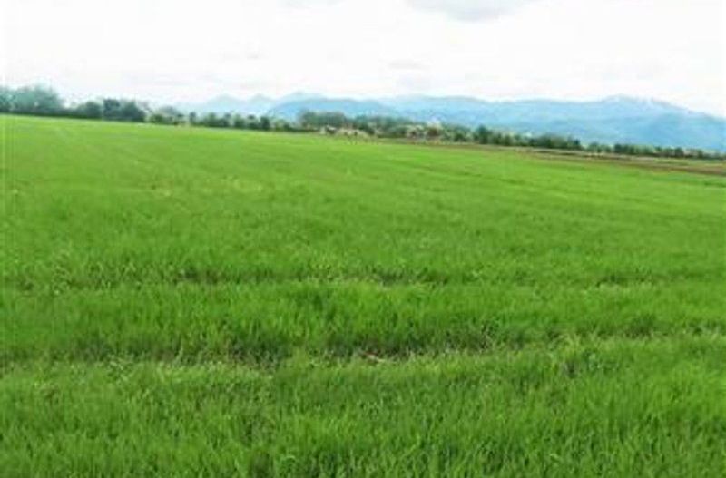 teren intravilan Stupini-Albinelor - Poză 11