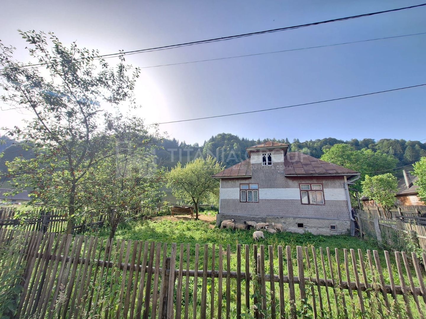 Casa cu teren de 5879 mp cu padure, Moeciu de Jos - Poză 1
