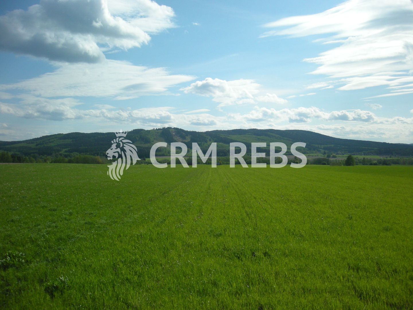 Teren cu PUZ de vanzare in Faget! - Poză 2