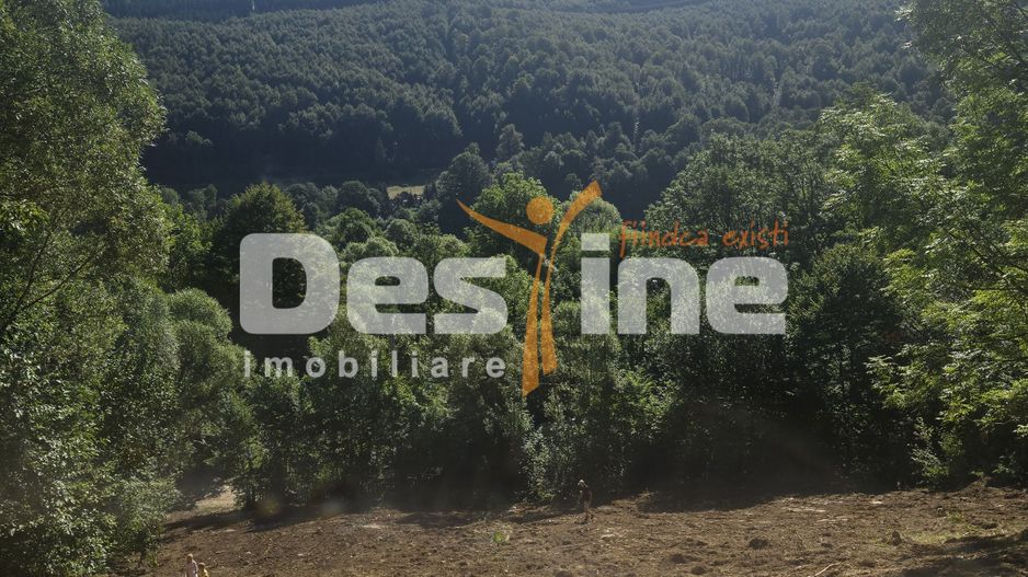 Teren Valea Doftanei,  zona Pe Vale - Baraj Paltinu - Poză 1