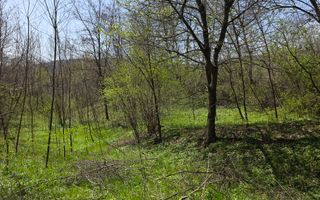 Investitie sigura! Teren foarte bine pozitionat in Brebu, Prahova - Poză 10