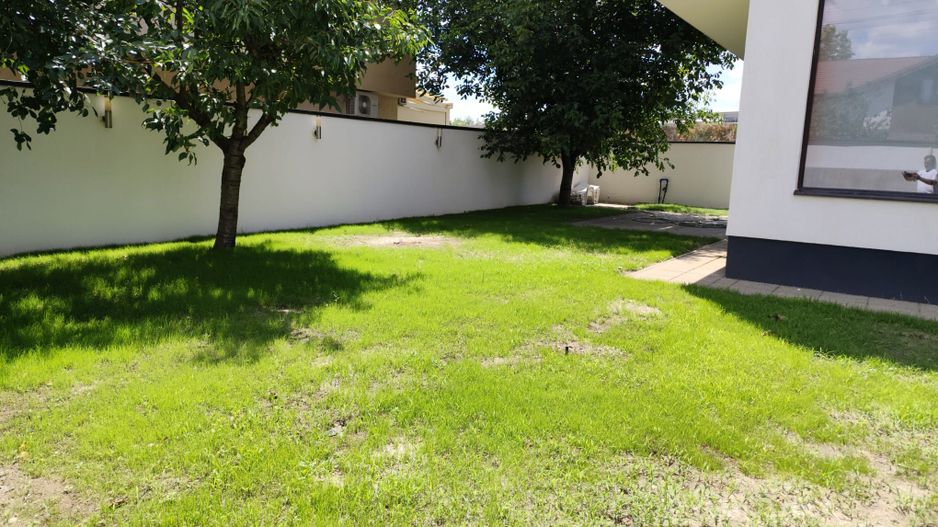 Padurea Craiului - Poză 7