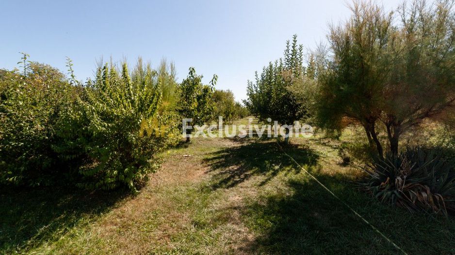 Casa visurilor cu 4000 mp livada roditoare si gradina Darmanesti-Arges - Poză 6