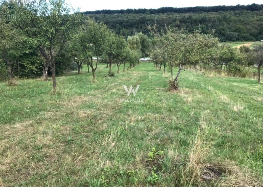 Teren extravilan - Sibiel, Sibiu - Poză 8