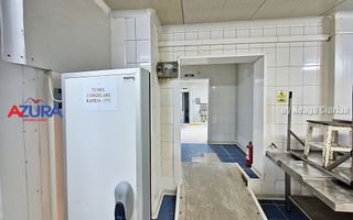 AZURA Imobiliare - Hala Fabrica de procesare Carne - Poză 16