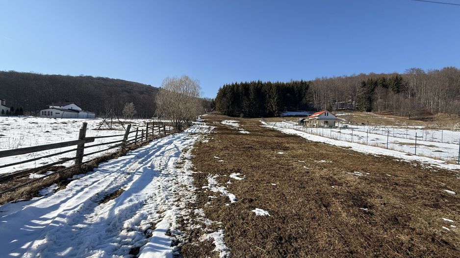 Teren intravilan 4521mp lângă pădure-valea Doftanei -Calea Brasovului - Poză 11
