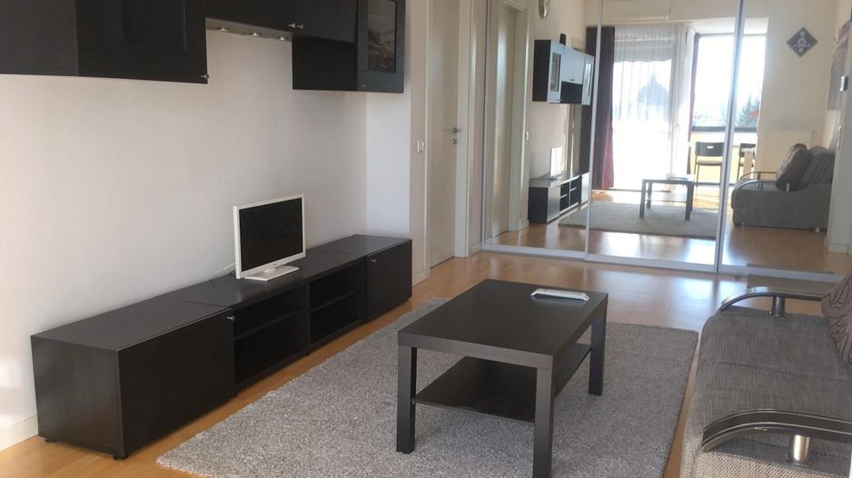 2 camere, pet friendly, Complex Delea Veche, Calea Calarasilor, Muncii - Poză 10