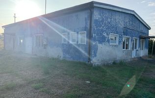 Spațiu comercial, Șăulia De Câmpie