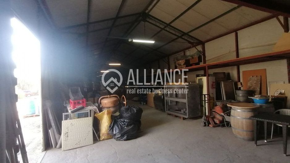 DELFINARIU (COD10) - Spatiu productie/Hala/ Depozit de inchiriat - Poză 3