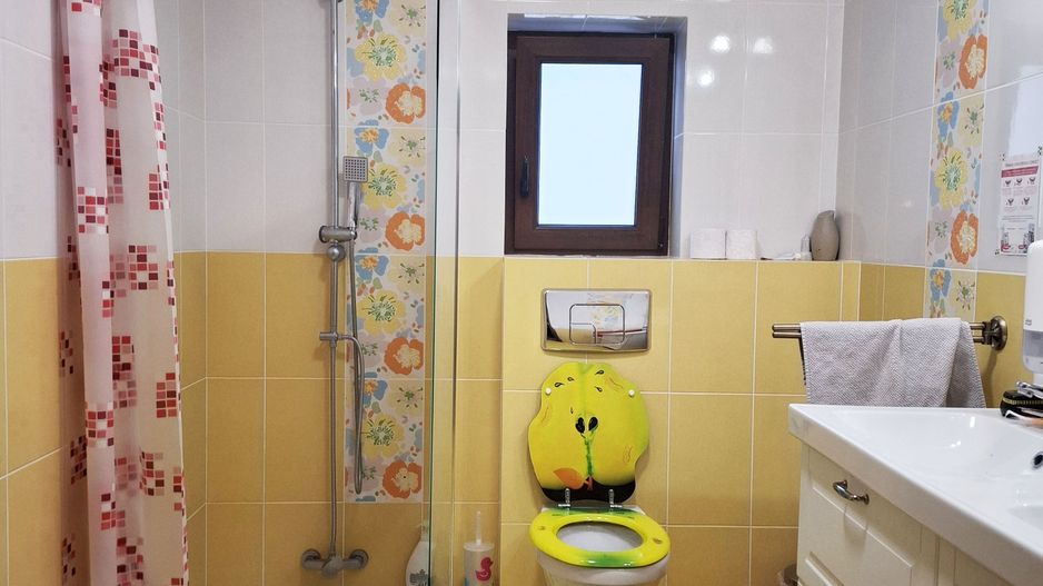 Casa P+1E+M, cu 5 camere, Cocosesti - Poză 17