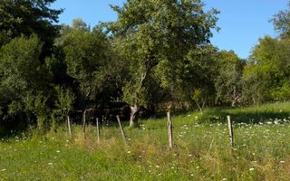 Teren Parau | Valea Danului, Curtea de Arges | Vidraru | - Poză 7