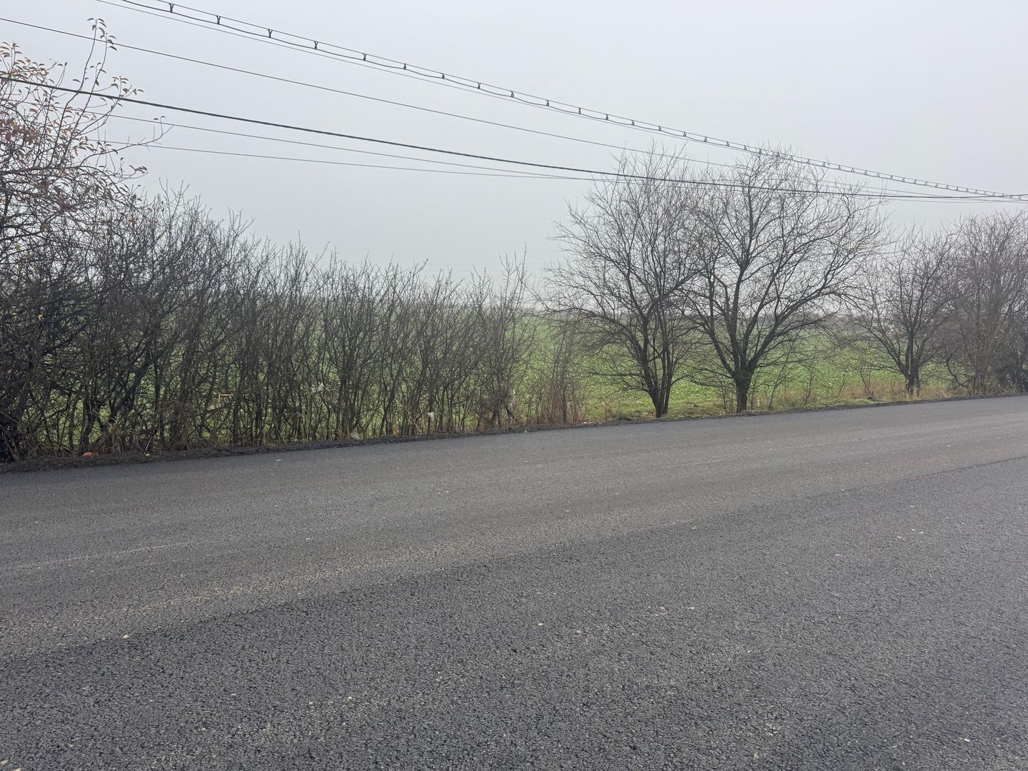 COMISION 0 | Teren intravilan | 7.473 mp | Zona Freidorf - Poză 3