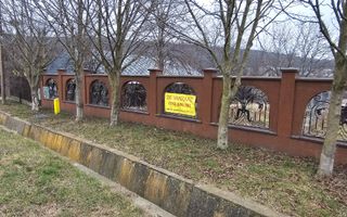 TEREN INTRAVILAN 1.000 mp, zona GURA BUSTEI - Poză 1