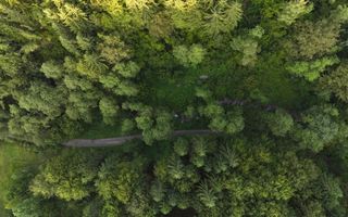 18000 mp de natura pura ,Lupeni, langa Straja - Poză 21