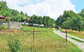 Bran- Predelut, 1000mp teren pentru casa de vacanta, pret 45 euro/mp - Poză 8