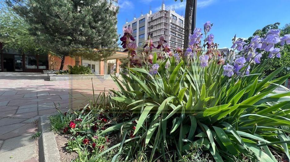 Apartament 1 camera Tatarasi - Esplanada Oancea - Poză 1