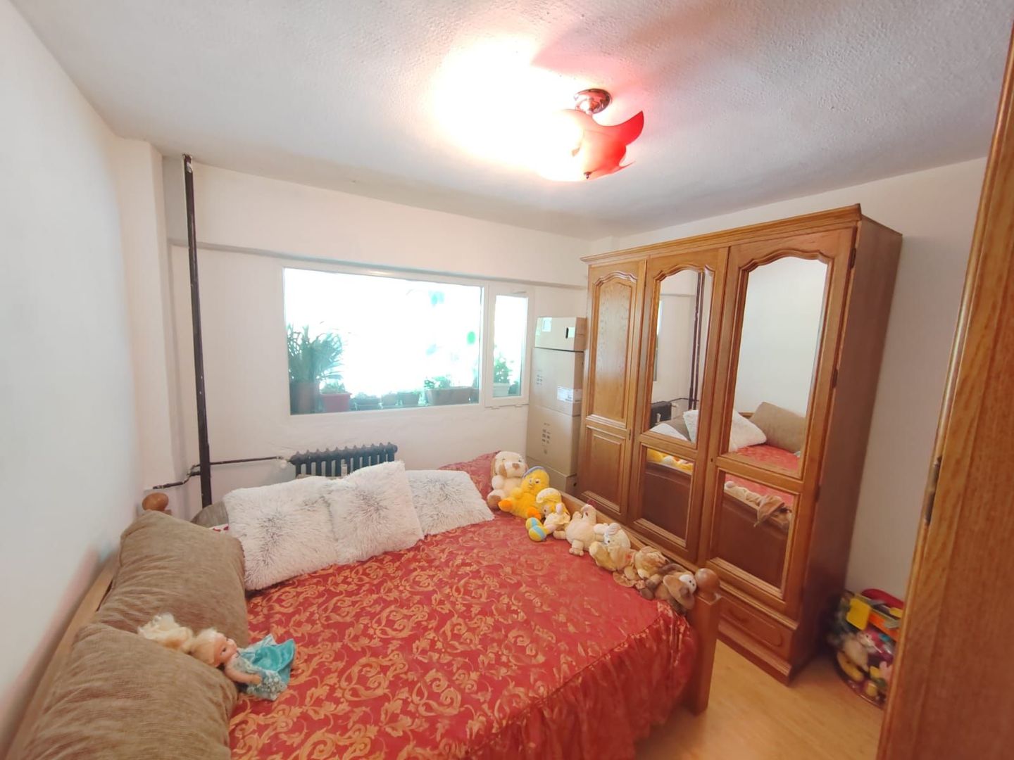 Domenii Ion Mihalache stradal super pret - Poză 11