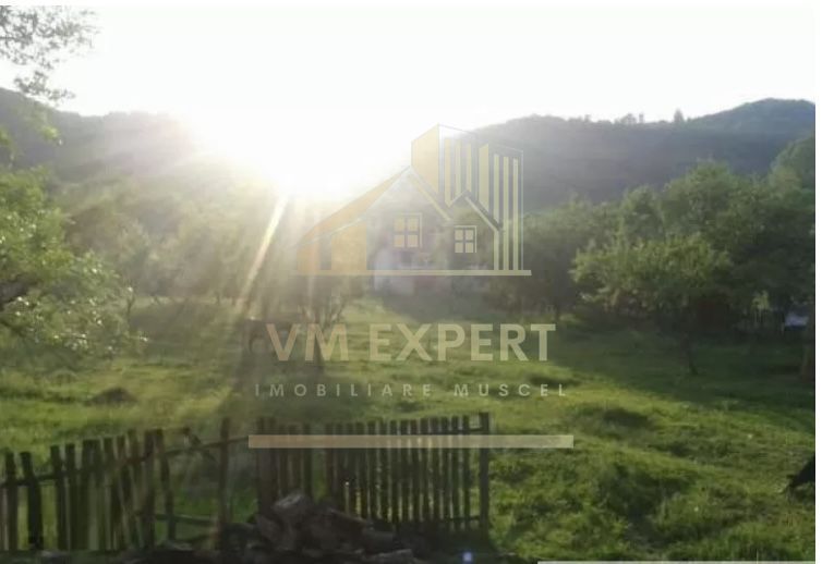 CASA 3 CAMERE, TEREN 2400 MP, VULTURESTI, ARGES - Poză 4