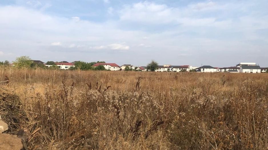 Lot teren 80000 mp Otopeni Sud Est dezvoltare sau lotizare - Poză 2