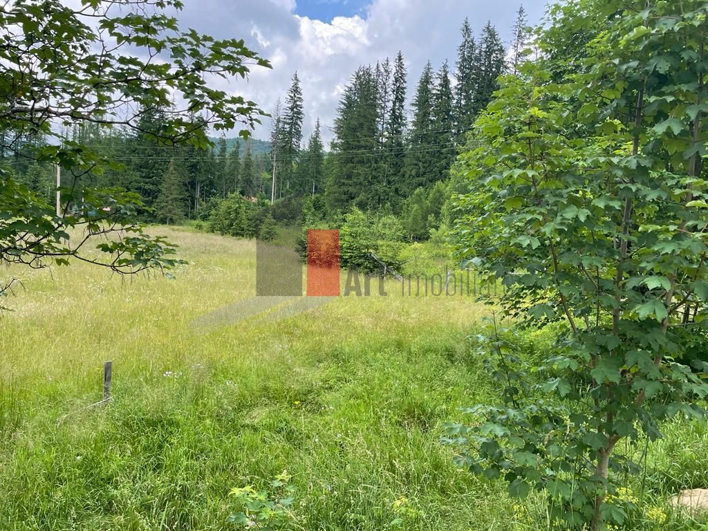 Teren statiunea Cheia, zona centrala, 45 km de Brasov - Poză 3