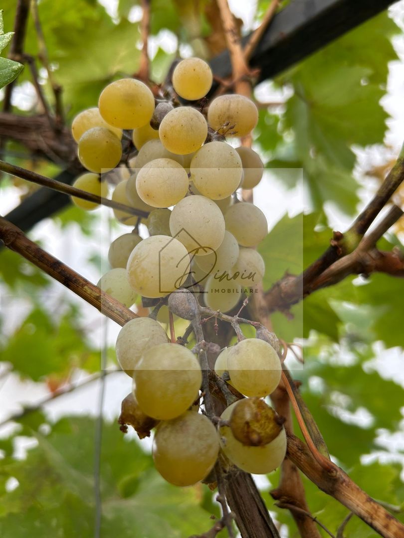 Vila de vanzare in Tunari I Gata de mutat I 4 camere I 5 parcari - Poză 45