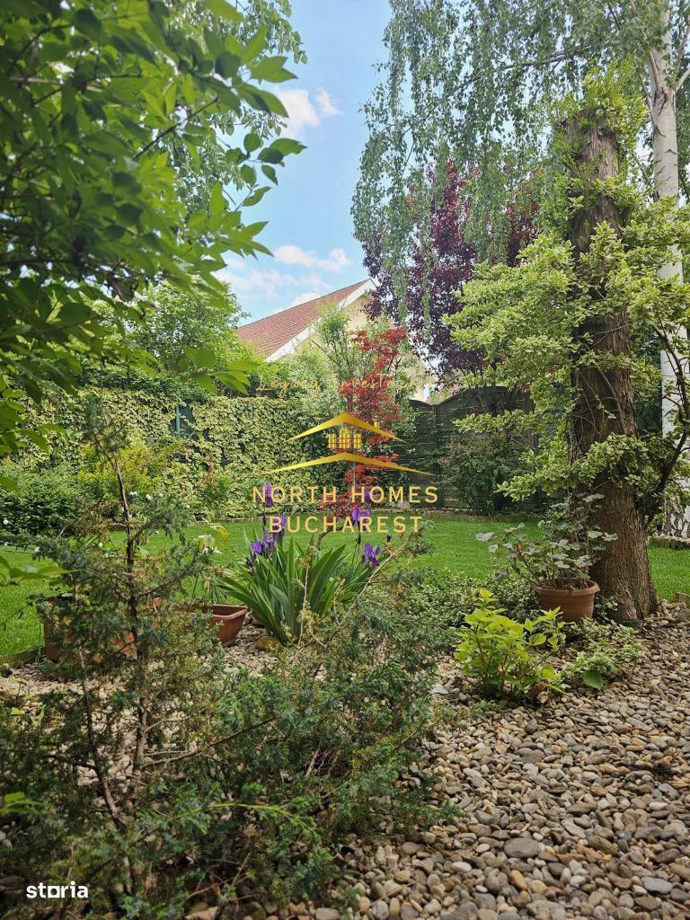 Vila 4 camere 220 mpu - 400 mp teren - Pipera / V Alecsandri - Poză 7