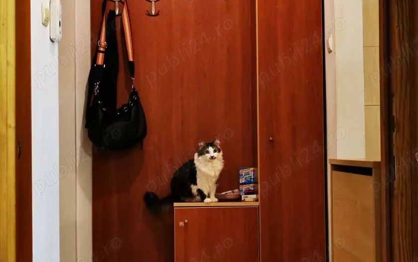 Apartament 2 camere | 55mp | 2 balcoane | Metrou Titan – 7 min | Mobilat - Poză 4